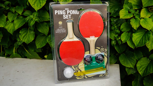 Universeel pingpong set